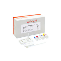 Streptokokken B Kassettentest