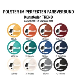 Blutentnahmestuhl HAEMO-LINEA Vario Ecco mit Armauflage Vario Ecco