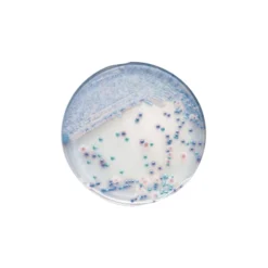 Chromagar Candida