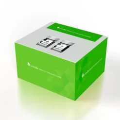 LumiraDx SARS-CoV+RSV Control