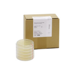 WiduMed Sabouraud-2%-Glucose-Agar